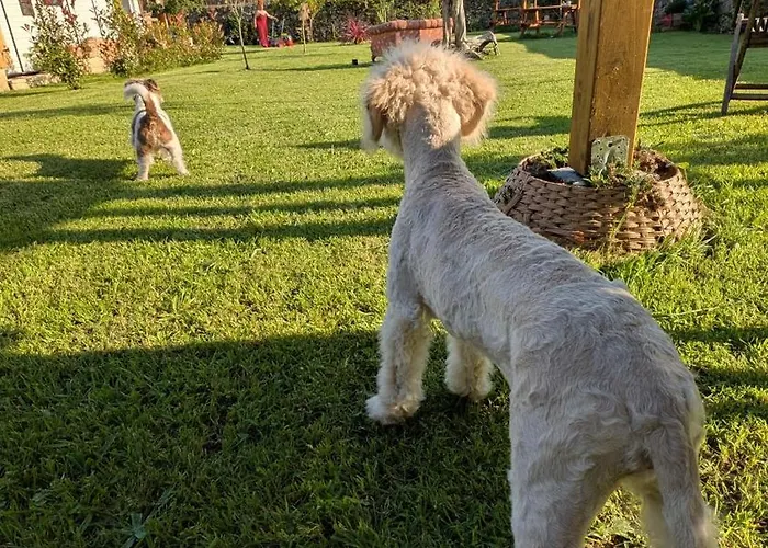 Apartmán Loft El Pasaje Secreto *